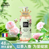 【全新香型】歌歌兰妮甜茶玫瑰养肤香水沐浴露柔嫩不假滑留香500ml 商品缩略图0