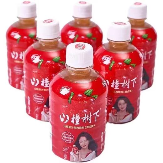 山楂树下 山楂果汁果肉饮料359ml 商品图0