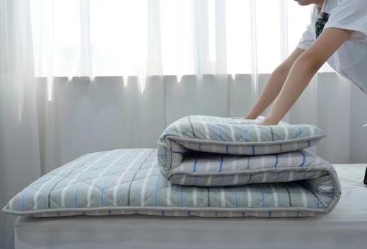 西施蚕娘大豆学生床垫 商品图2