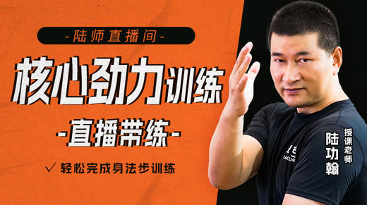核心劲力训练——直播带练 商品图0