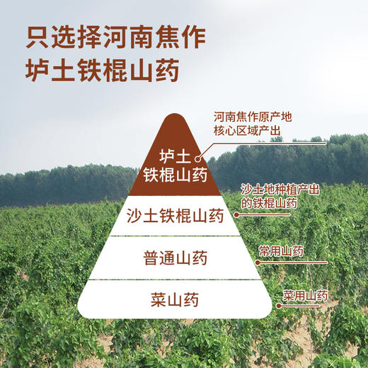 【复配山药粉】怀生堂新一代铁粉山药粉“3秒速溶”，288g每盒（16g每袋），好山药好脾胃！ 商品图2