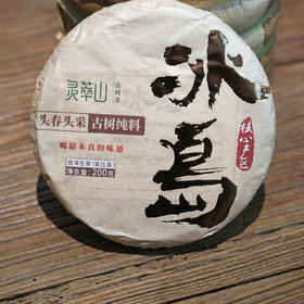 冰岛古树茶 2021年头采春茶