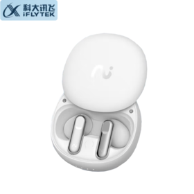 科大讯飞录音降噪会议耳机iFLYBUDS 2 半入耳新品 主动降噪 同传听译 AI会议助理苹果华为通用