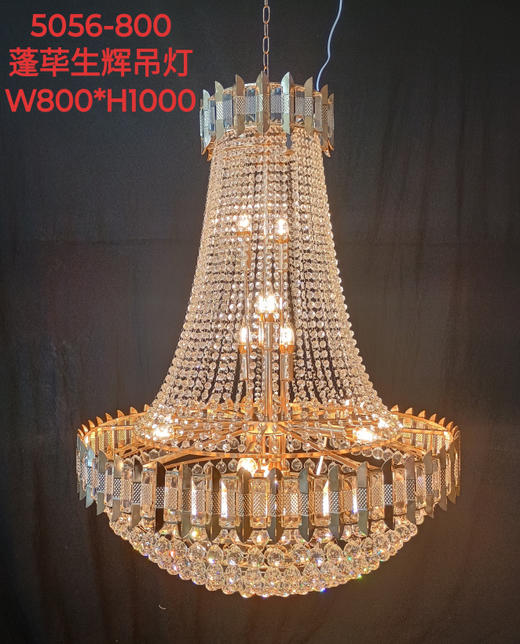 5056-800蓬荜生辉吊灯（运费自理） 商品图0