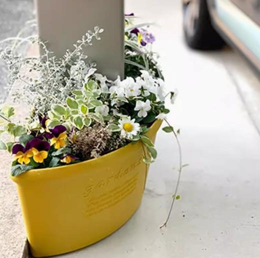 日本进口 Hachiman Gardens转角花盆&托盘（绿色） 商品图3