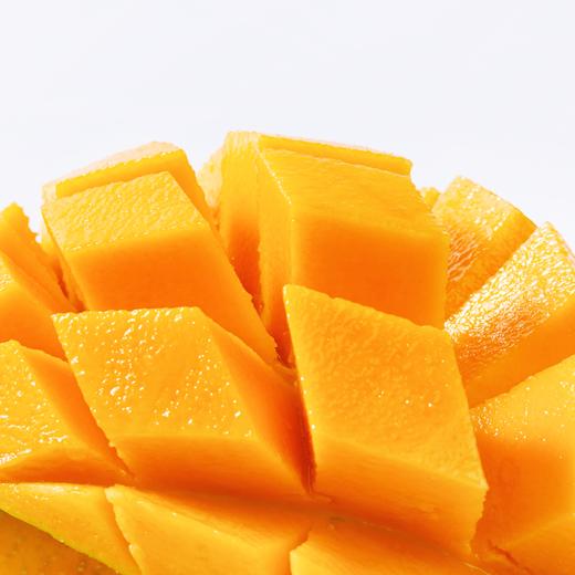 芒芒人海 商品图4