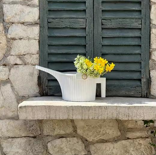 浇水壶 1.5L 墨绿色 GARDEN BEETLE 商品图2