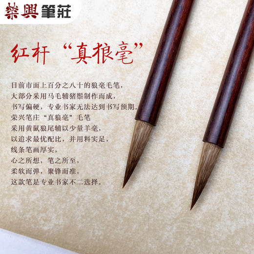 红杆真狼毫 商品图0