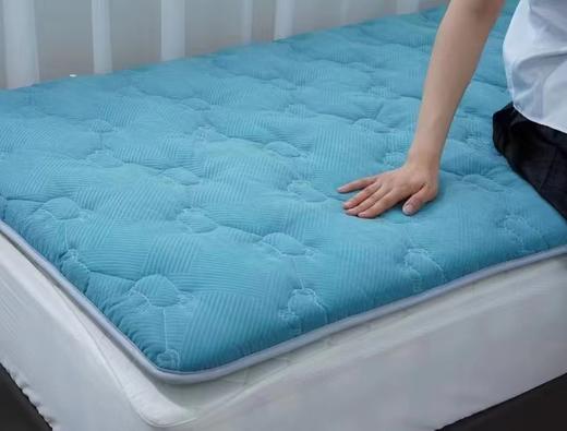 西施蚕娘澳毛暖芯床垫 商品图2
