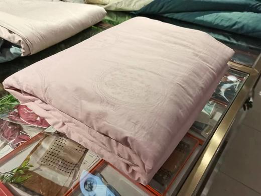 西施蚕娘纯手工定制蚕丝被1000g 商品图0
