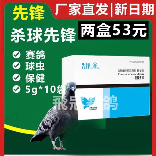 【杀球先锋】5g×10袋，杀灭球虫控制水便（先锋） 商品图0