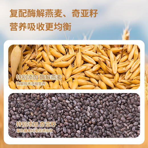 【复配山药粉】纯温县垆土铁棍怀山药粉 古法麸炒自然香 早晚一杯效果更好，30条白色礼盒装360克/100条简装1200克， 商品图2