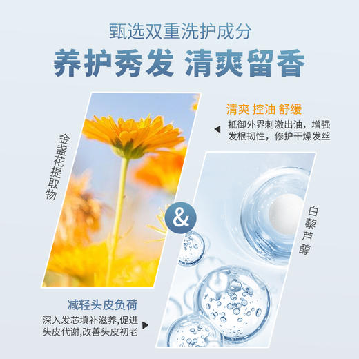 【迭代升级】香氛发丝闻得到头皮吸油机伦敦雨蓬松全能洗发水护发素套装（赠随机50ml中小样） 商品图3