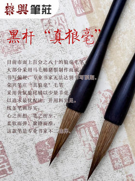 黑杆真狼毫