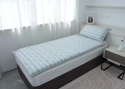 西施蚕娘大豆学生床垫 商品图3