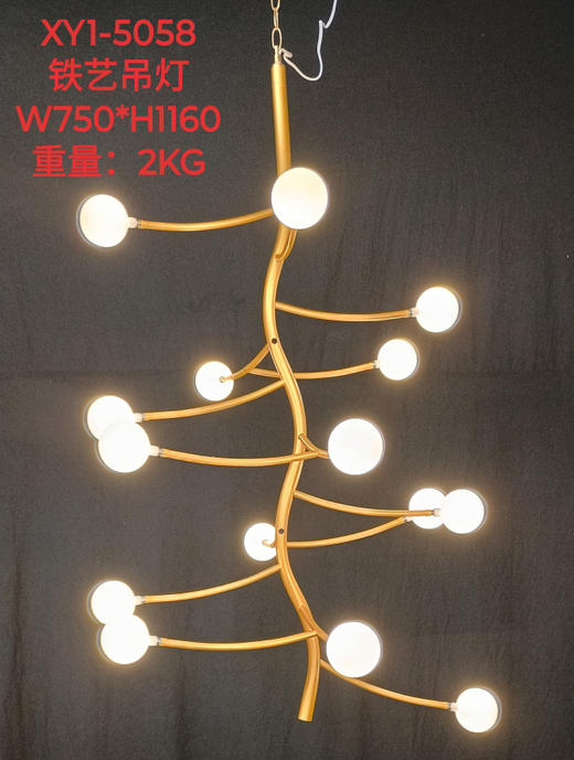 5058铁艺吊灯（运费自理） 商品图0