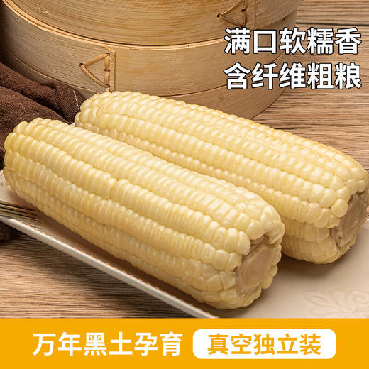 北纬47度白甜糯鲜玉米220克＊6 商品图2