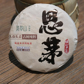 思茅古树茶  2023年头采春茶