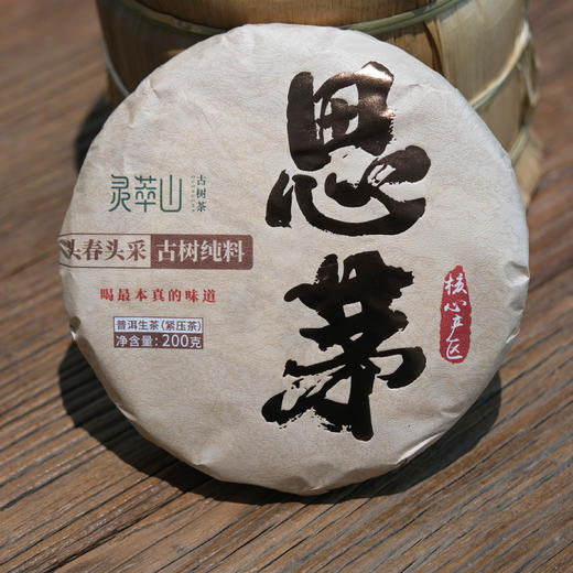 思茅古树茶  2023年头采春茶 商品图0