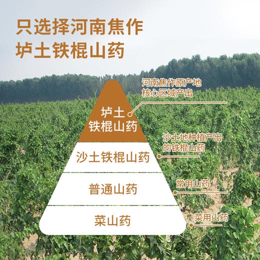 【复配山药粉】纯温县垆土铁棍怀山药粉 古法麸炒自然香 早晚一杯效果更好，30条白色礼盒装360克/100条简装1200克， 商品图1