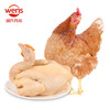 温氏供港田园土鸡2斤 冷冻90天慢养鸡农家小鸡炖蘑菇辣子鸡丁走地鸡 商品缩略图5