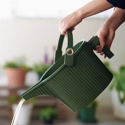 浇水壶 1.5L 墨绿色 GARDEN BEETLE 商品图1