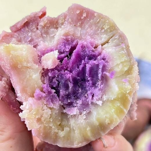 冰淇淋紫心番薯10斤蔬菜薯番沙地红薯新鲜红蜜薯地瓜超甜板栗红薯农产品农家土特产 助农产品 商品图3