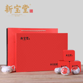 岭南新宝堂新会大红柑熟普茶普洱茶陈香礼盒380克