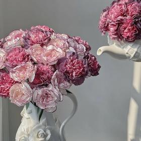 【热烈精灵】康乃馨-野马（10枝）+紫精灵（10枝）| 公众号专享