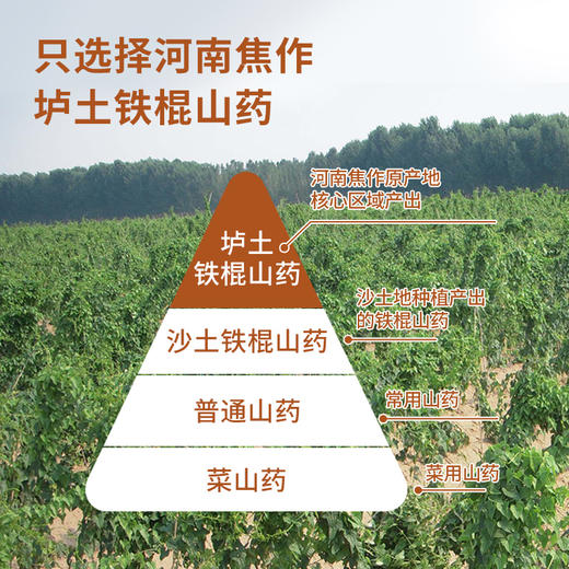 【复配山药粉】家庭特惠装怀山药粉 古法麸炒自然香 早晚一杯效果更好，加量不加价600克（50条装） 商品图3