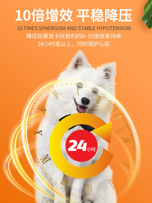 普安特宠物心脏病心脏肥大药宠物心力衰竭心肌炎症梗塞心诺宁马来酸依那普利片 商品图3