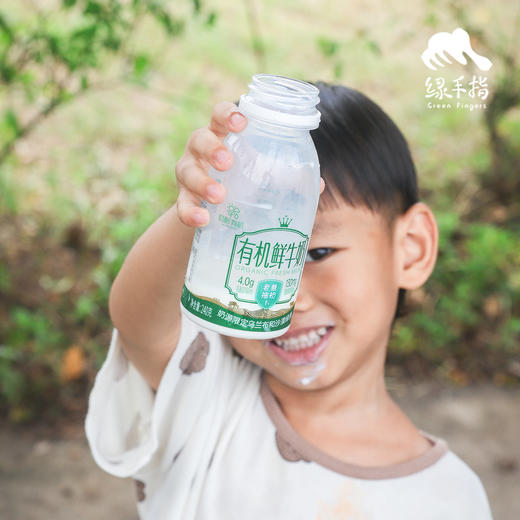 有机鲜牛奶/酸奶（预售，按订单来生产，满6瓶包邮） | 公平贸易*Organic fresh milk Fair Trade Items 商品图4