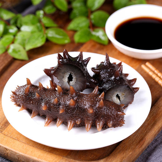 大连冷冻鲜食海参500g 9-12只 （只发南京） 线上 商品图0