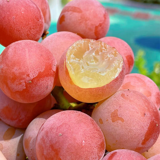 妮娜皇后葡萄500g/份 商品图1