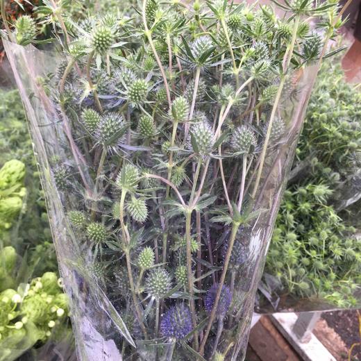 情人果 商品图0