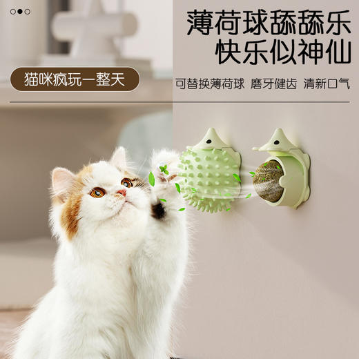 宠物用品-小刺猬蹭痒器猫薄荷舔舔球玩具 商品图1