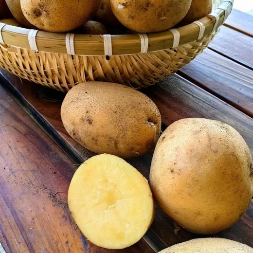 有机土豆/洋葱/胡萝卜，羊粪种植，有机认证，品质安心，顺丰/京东包邮，72小时发货急件慎拍！ 商品图1
