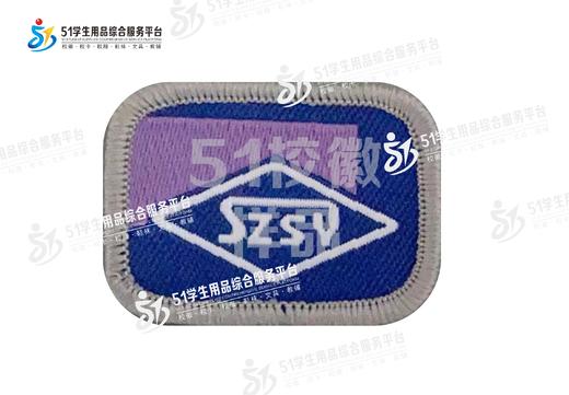 通版深圳实验学校织唛校徽礼服布标姓名字贴章可缝可烫现货现发51 商品图1