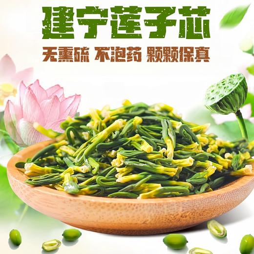 热销推荐【自营】建宁莲子芯 静心饮 不烦躁 商品图0