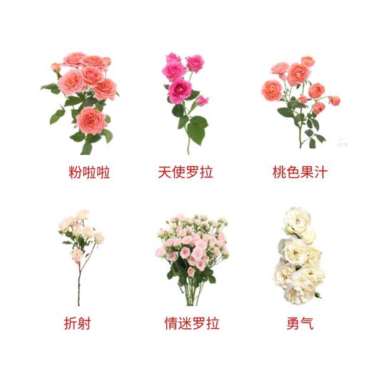 周末惊喜！ 商品图0