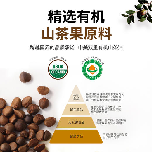 港资品牌 一级初榨山茶油 家庭实惠装5L 商品图1