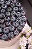 【蓝莓多多】足足一斤蓝莓，做一只蓝莓蛋糕～ 商品缩略图5