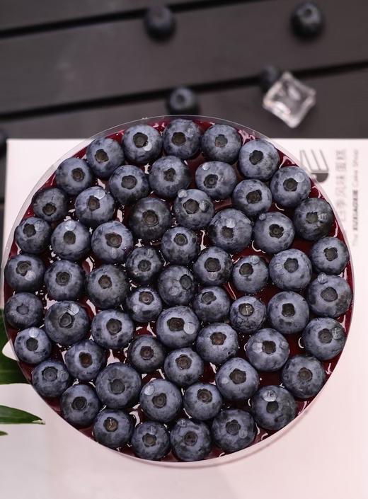 【蓝莓多多】足足一斤蓝莓，做一只蓝莓蛋糕～ 商品图0