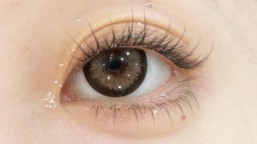 Winni日抛--D28蜜茶珊瑚 商品图3