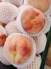大众毛桃三斤 商品缩略图0