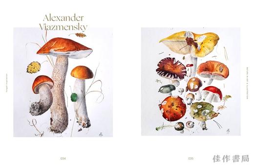 Fungal Inspiration: Art and Illustration Inspired by Wild Nature / 真菌的灵感：野生世界激发的艺术与设计 商品图2