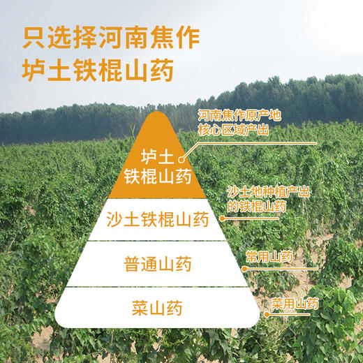 【怀生堂】铁棍山药粉264g，精选7斤垆土山药仅产1斤粉，特别添加奇亚籽粉配方升级 商品图2