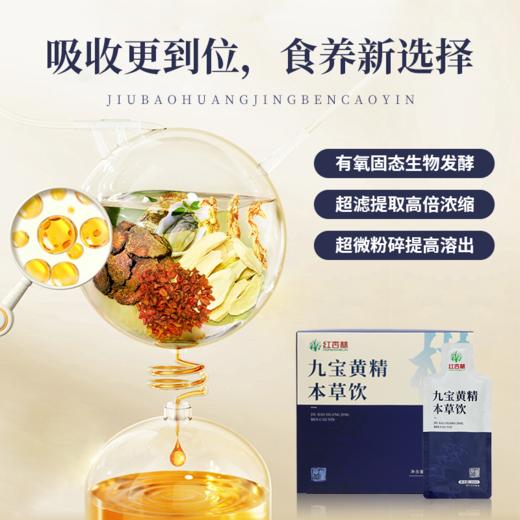 预售【九宝黄精本草饮】300ml吉老师亲研配方 超浓缩技术 药食同源安全好吸收  预计12月底发货 商品图1