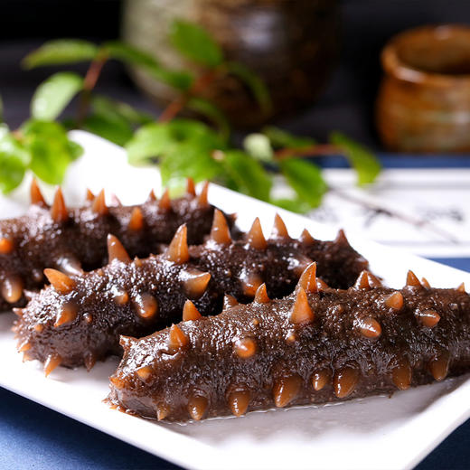 大连冷冻鲜食海参500g 9-12只 （只发南京） 线上 商品图1