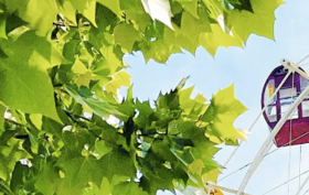 好老公的八字特征